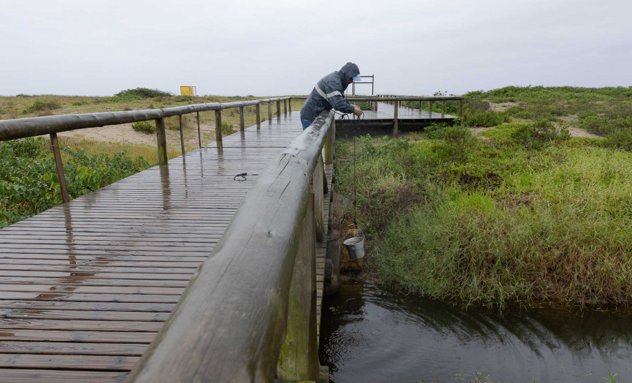 Sanepar encontra irregularidades em 37% dos imóveis vistoriados no Litoral