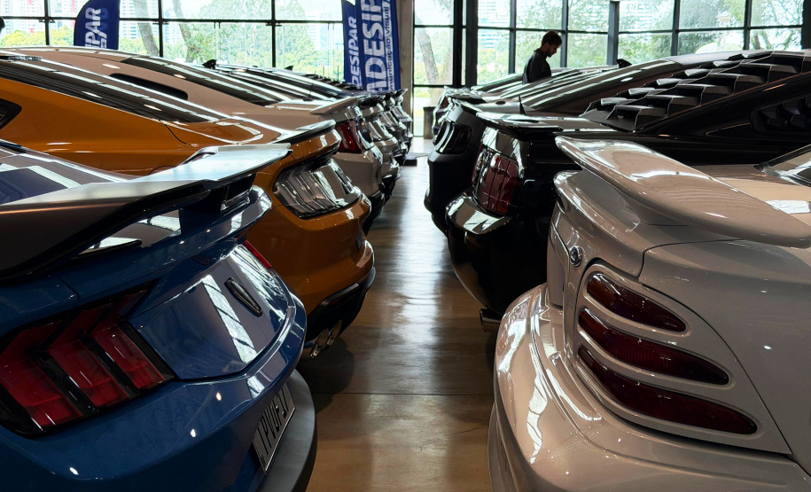 VIAJE PARANÁ - Mustang Meeting aquece serviços, atrativos e promove o Turismo Sobre Rodas no Paraná