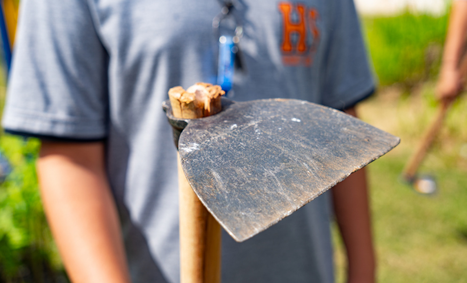 Estudantes plantam cinturão verde em São José dos Pinhais