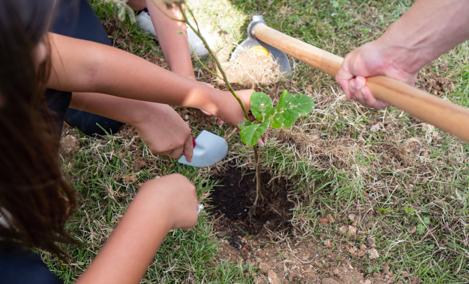 Estudantes plantam cinturão verde em São José dos Pinhais