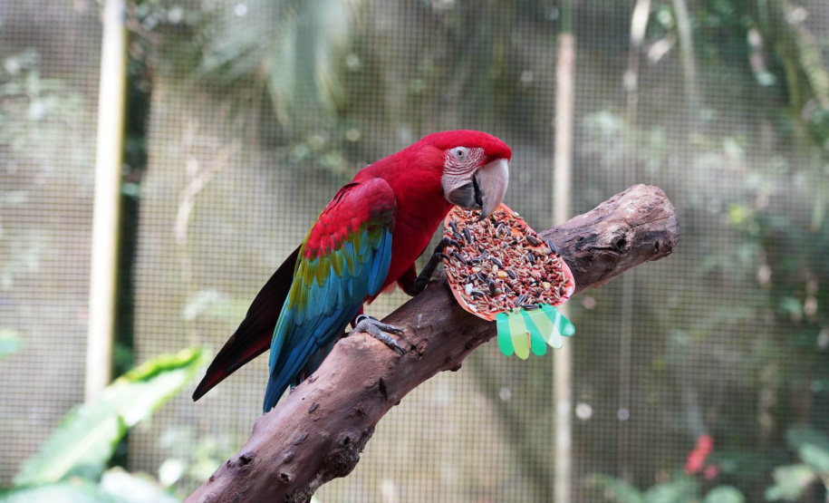 Páscoa é oportunidade de fazer turismo e conhecer atrativos ao redor do Paraná; confira dicas