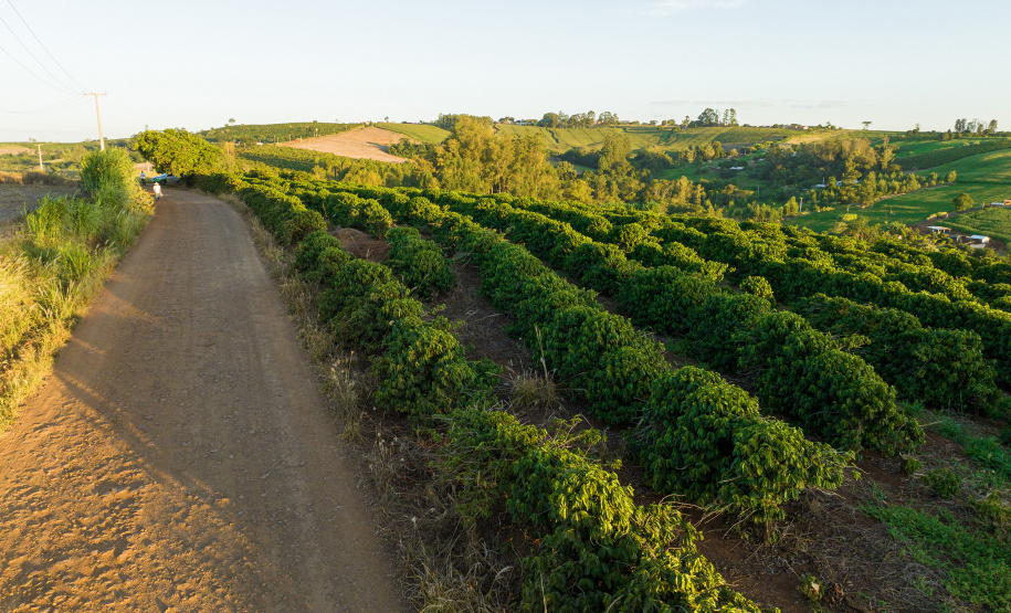 Governador anuncia R$ 35,9 milhões para infraestrutura urbana e rural de Ivaiporã