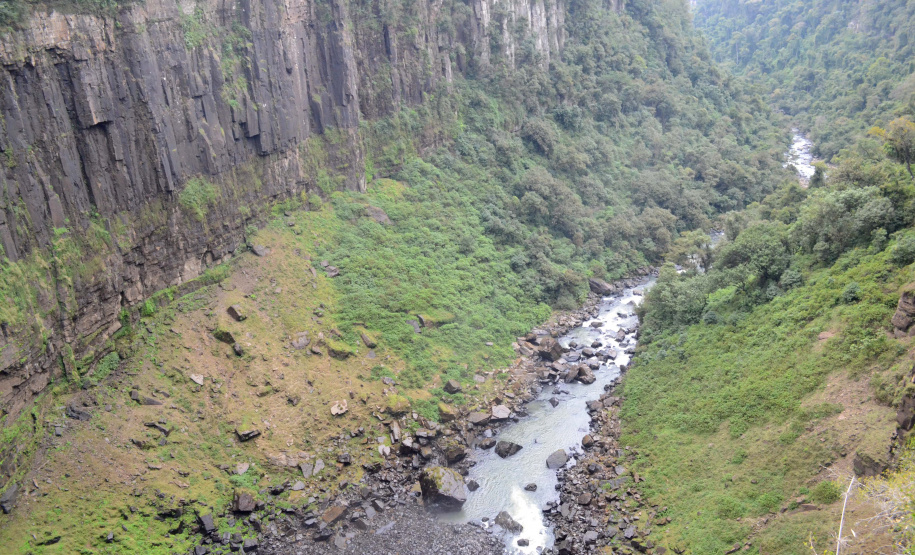 Denis Ferreira Netto/SEDEST