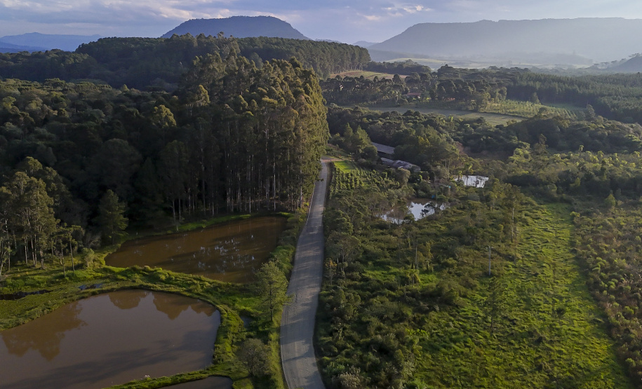 UNIÃO DA VITÓRIA - ESTRADA