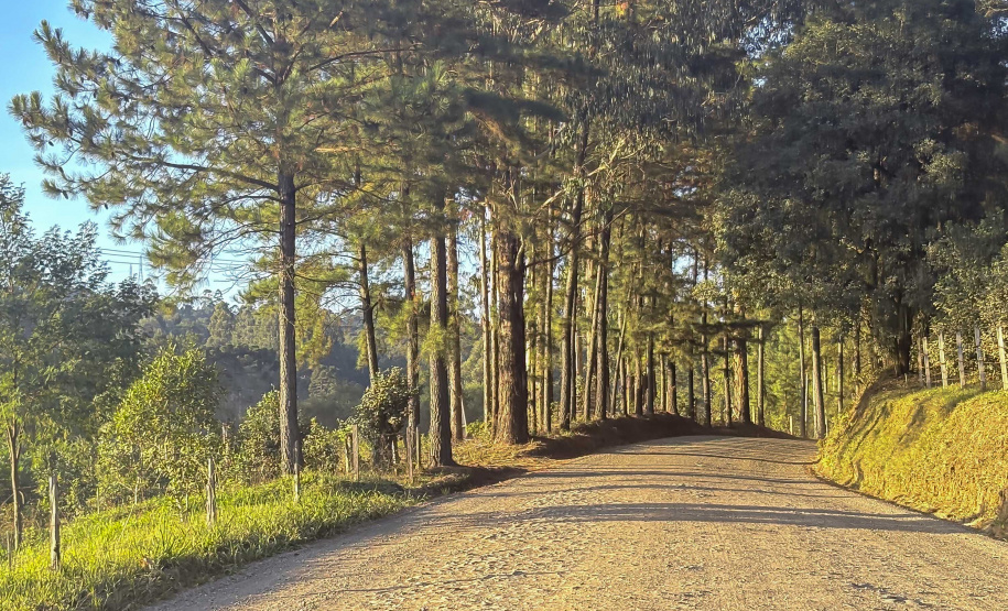 UNIÃO DA VITÓRIA - ESTRADA