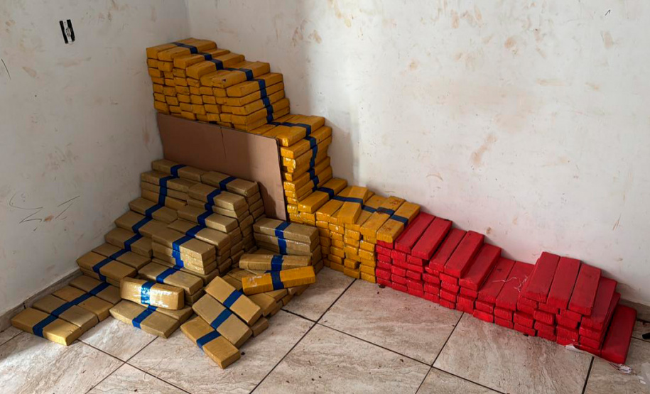 Em maior apreensão do ano, PCPR localiza 4,1 toneladas de maconha em Foz do Iguaçu