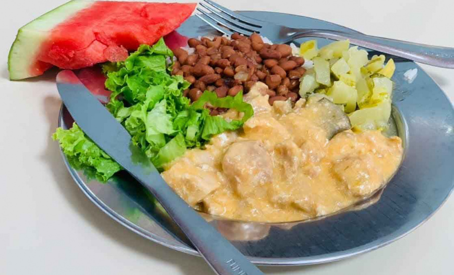 Com quase 40% da merenda ligada à agricultura familiar, Paraná reforça aprendizagem