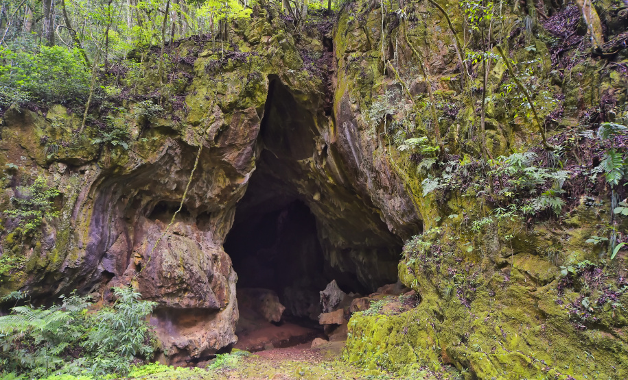 IAT - Unidades de Conservação