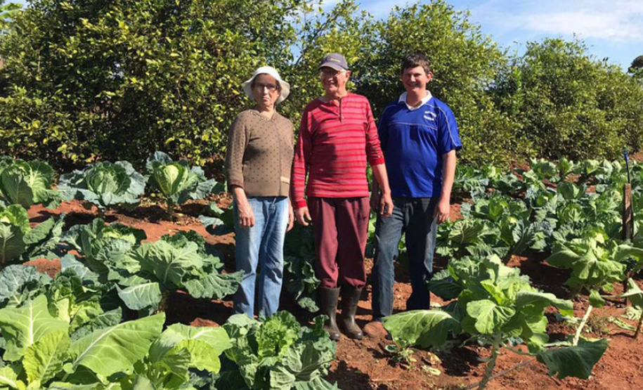 Com quase 40% da merenda ligada à agricultura familiar, Paraná reforça aprendizagem
