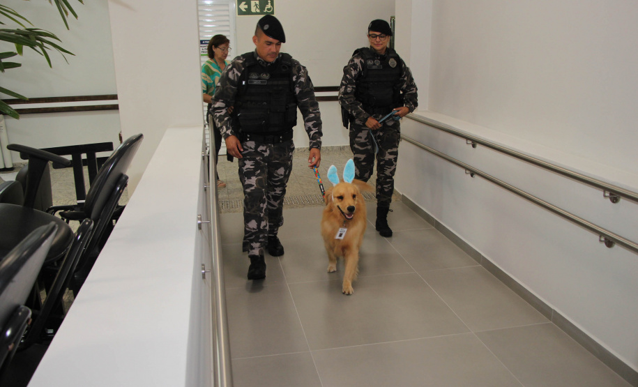 SESA - Hospital de Reabilitação inicia projeto de terapia com cães da Polícia Militar
