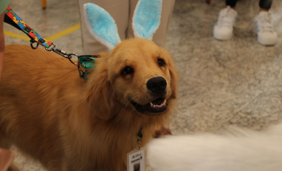 SESA - Hospital de Reabilitação inicia projeto de terapia com cães da Polícia Militar