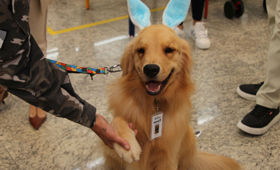 SESA - Hospital de Reabilitação inicia projeto de terapia com cães da Polícia Militar