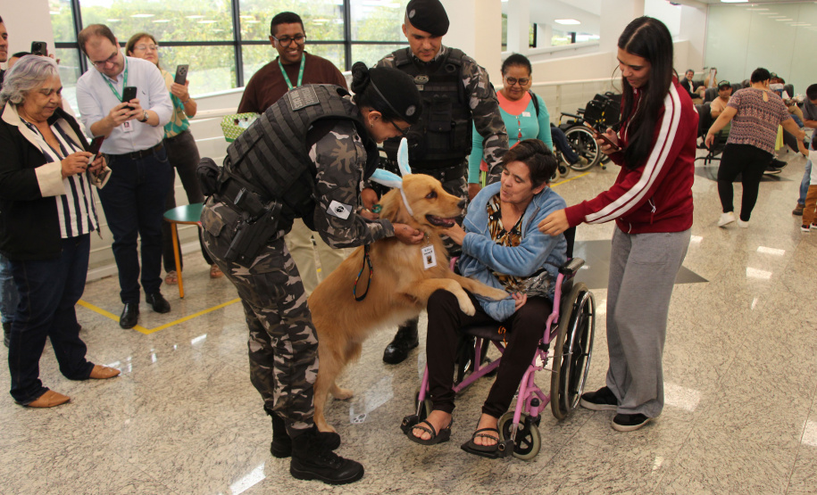 SESA - Hospital de Reabilitação inicia projeto de terapia com cães da Polícia Militar