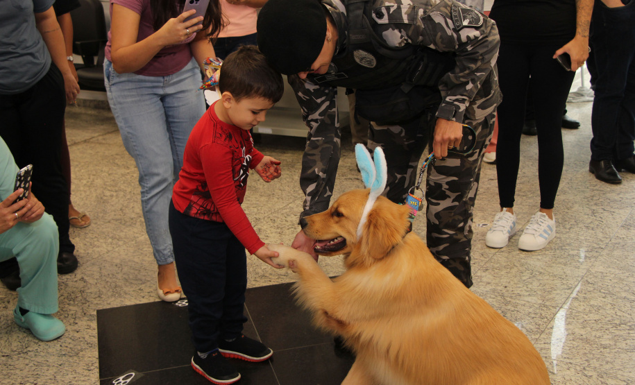 SESA - Hospital de Reabilitação inicia projeto de terapia com cães da Polícia Militar