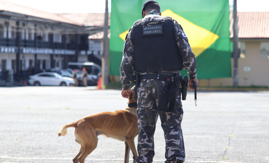 PMPR forma novos policiais especializados no uso de cães e reforça atuação no combate ao crime no Estado