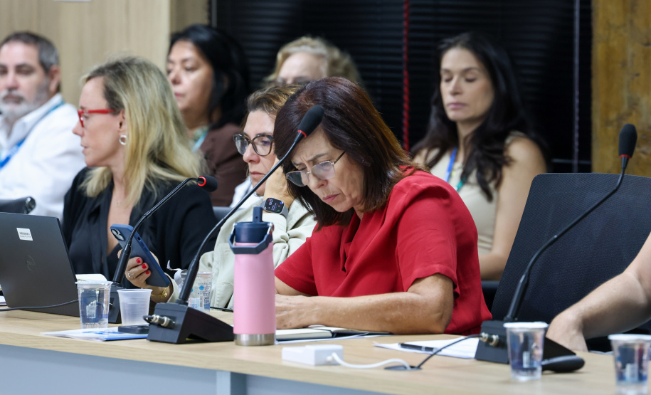 Banco Mundial avalia positivamente execução do Paraná Eficiente e alinha próximos passos com Governo do Estado