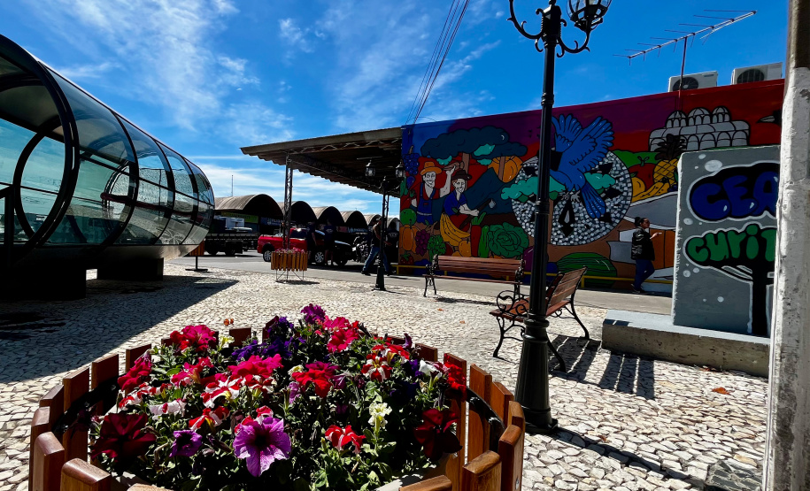 Da Rua XV para a Ceasa: um tributo à identidade curitibana