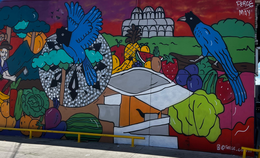 Da Rua XV para a Ceasa: um tributo à identidade curitibana