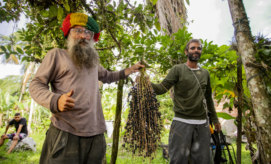 Fwd: Sugestão matéria | Açaí juçara vira oportunidade de renda para comunidades caiçaras