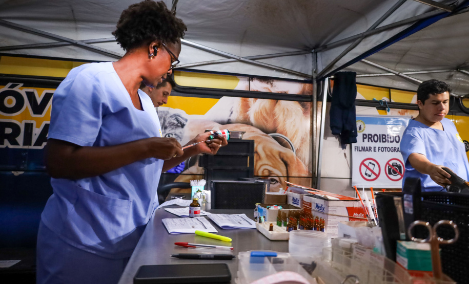 CastraPet vai beneficiar 5,4 mil cães e gatos em maio; agenda começa no feriado