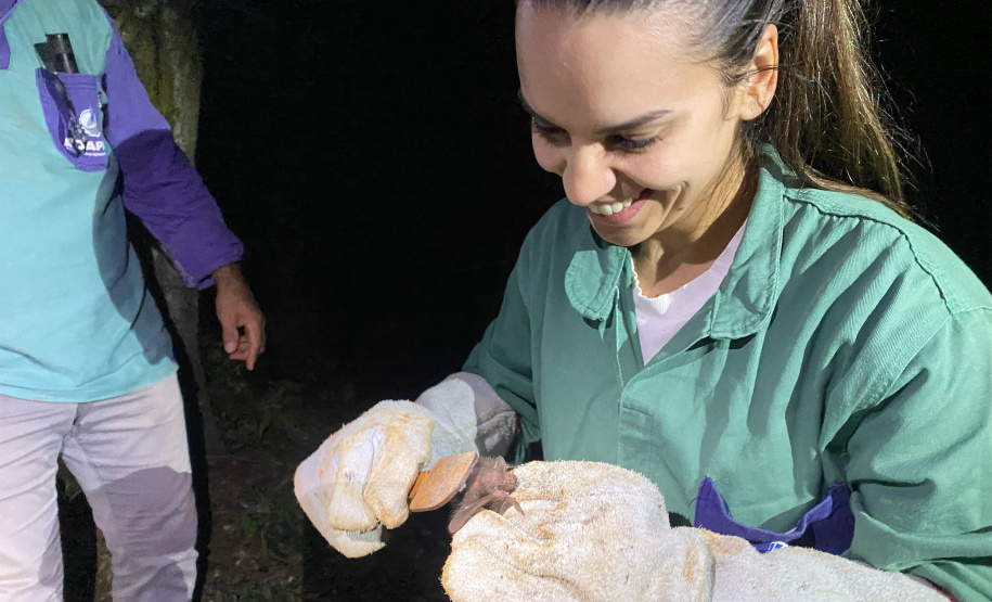 Adapar realiza treinamento para controle de zoonoses em animais de produção