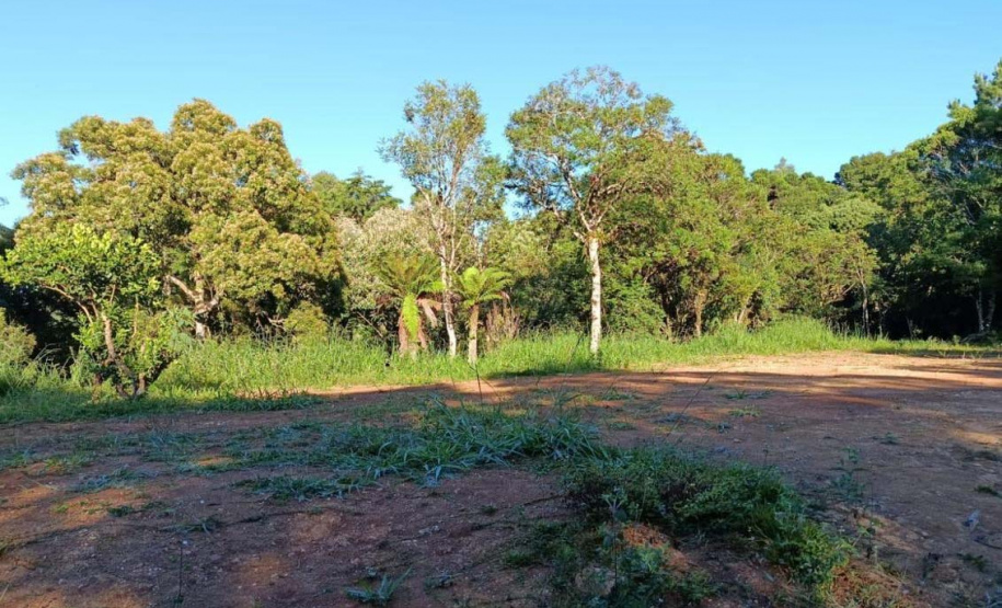 Primeira edição da força-tarefa "Espaço Naturais Protegidos", de combate a crimes ambientais em Unidades de Conservação, aplicou R$ 878 mil em multas.
