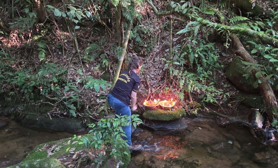 Primeira edição da força-tarefa "Espaço Naturais Protegidos", de combate a crimes ambientais em Unidades de Conservação, aplicou R$ 878 mil em multas.