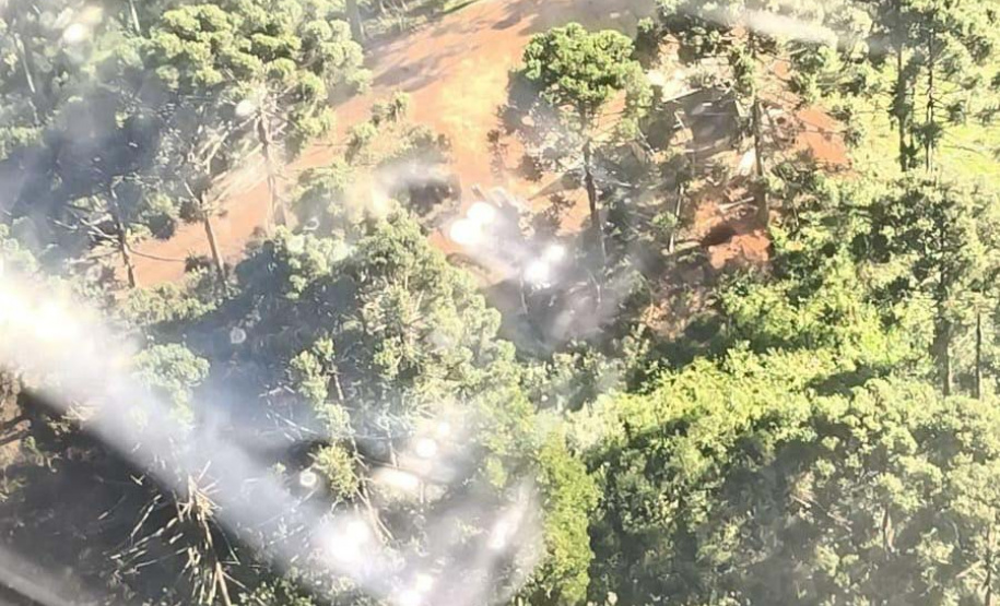 Primeira edição da força-tarefa "Espaço Naturais Protegidos", de combate a crimes ambientais em Unidades de Conservação, aplicou R$ 878 mil em multas.