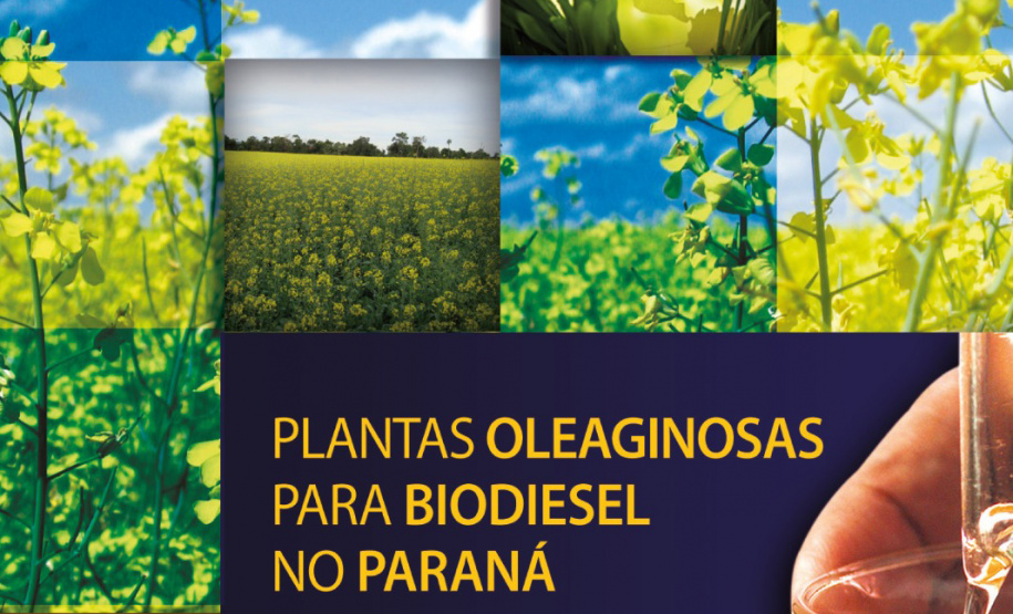 IDR - Livro-Biodiesel