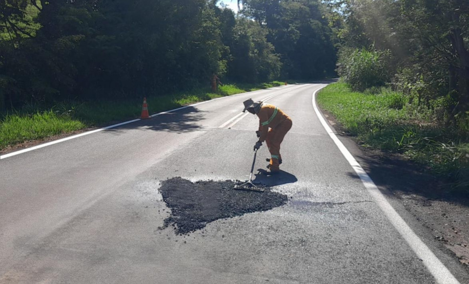 Cambará e Ribeirão Claro