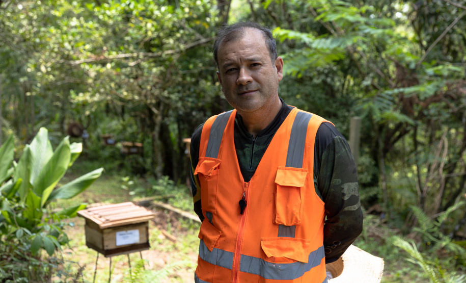Sanepar resgata mais de 70 colmeias de abelhas nativas no Reservatório Miringuava