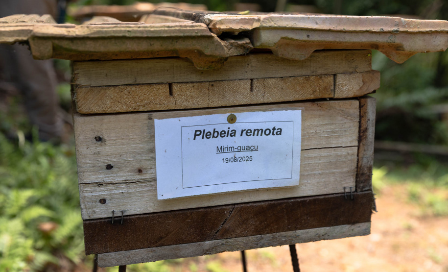Sanepar resgata mais de 70 colmeias de abelhas nativas no Reservatório Miringuava