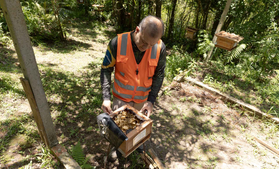 Sanepar resgata mais de 70 colmeias de abelhas nativas no Reservatório Miringuava