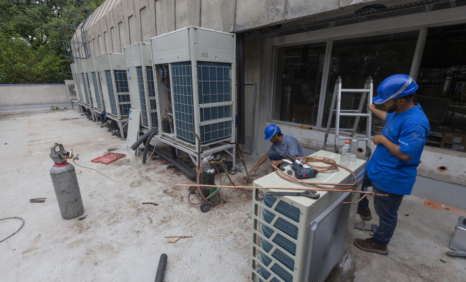 Paraná se prepara para fornecer insumos para saúde animal a todo o país