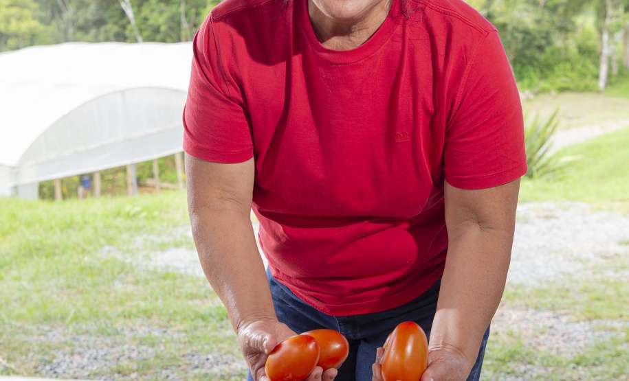 Tecpar apoia Paraná na liderança nacional de produtores rurais com certificação de orgânicos