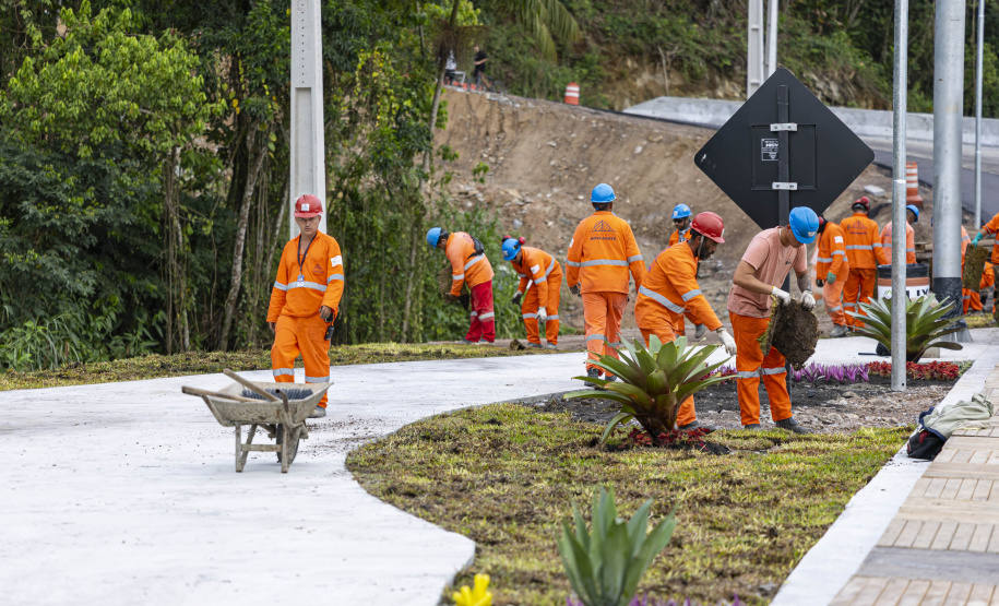 TRABALHADORES PONTE