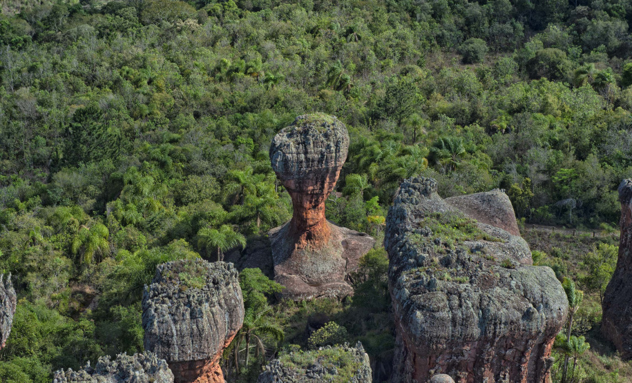 IAT - Abre e fecha Parques Estaduais