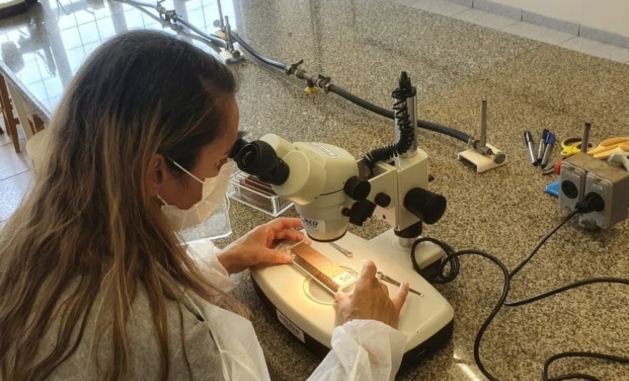 SESA - Paraná conta com auxílio de monitoramento estratégico no combate às arboviroses