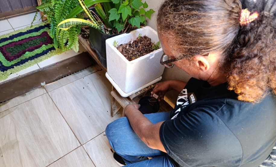 SESA - Paraná conta com auxílio de monitoramento estratégico no combate às arboviroses