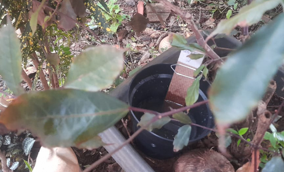 SESA - Paraná conta com auxílio de monitoramento estratégico no combate às arboviroses