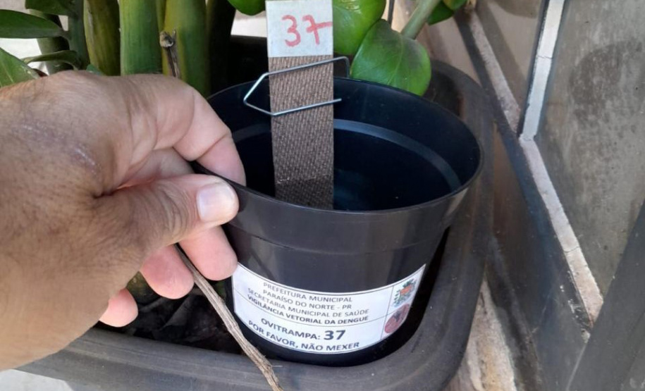 SESA - Paraná conta com auxílio de monitoramento estratégico no combate às arboviroses