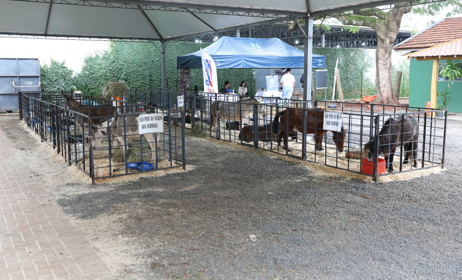 EXPOMARINGÁ