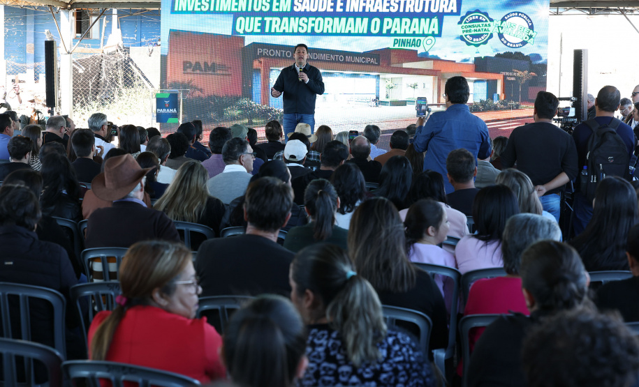PINHÃO DEMAIS ANÚNCIOS
