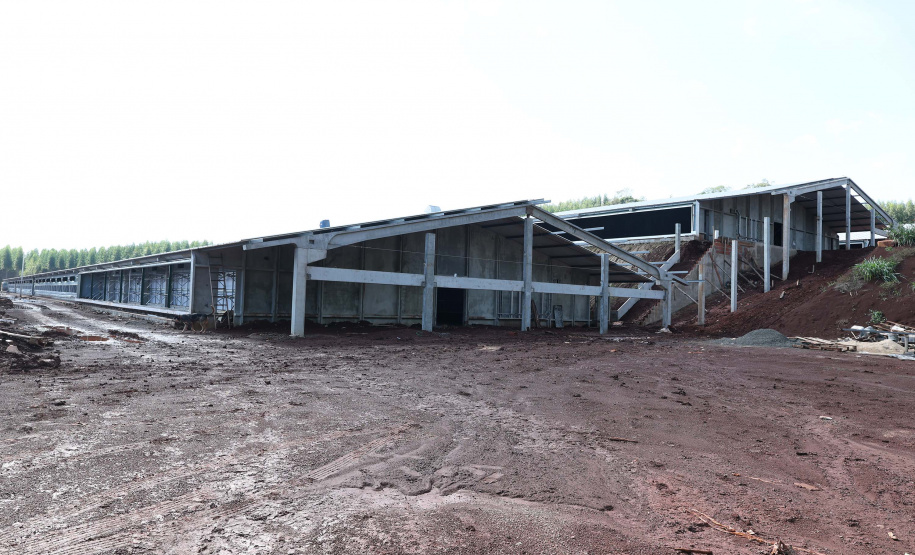 SÃO JOSÉ DAS PALMEIRAS - UNIDADE COOPERATIVA LAR