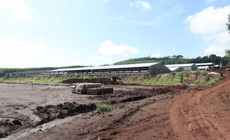 SÃO JOSÉ DAS PALMEIRAS - UNIDADE COOPERATIVA LAR