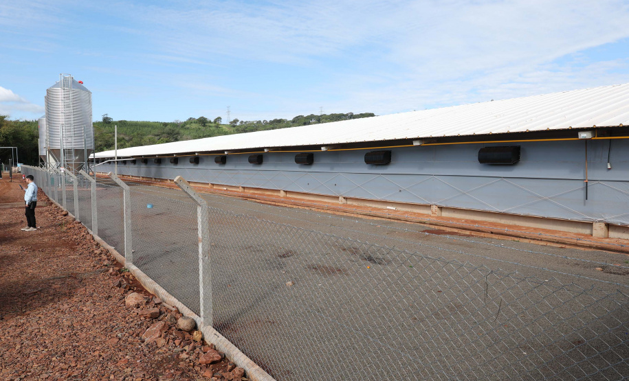 SÃO JOSÉ DAS PALMEIRAS - UNIDADE COOPERATIVA LAR