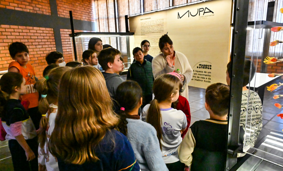 Patrimônio, memória e descoberta: cerca de 200 alunos visitam Museu Satélite MUPA Pato Branco
