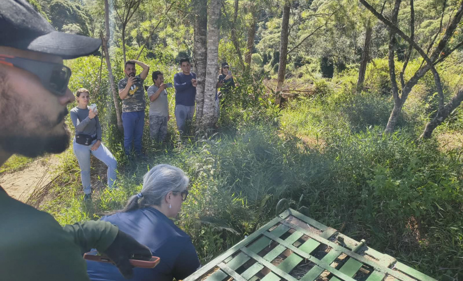 IAT - Soltura anta