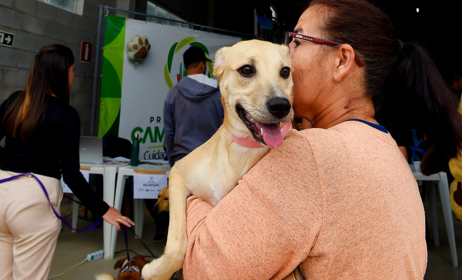 Atendimentos do Vet-Móvel Paraná começam na segunda-feira (1º); veja como se inscrever