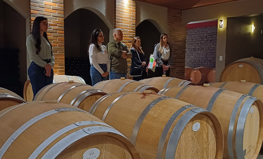 Vinícola paranaense conquista ouro internacional e promove o Enoturismo do Estado